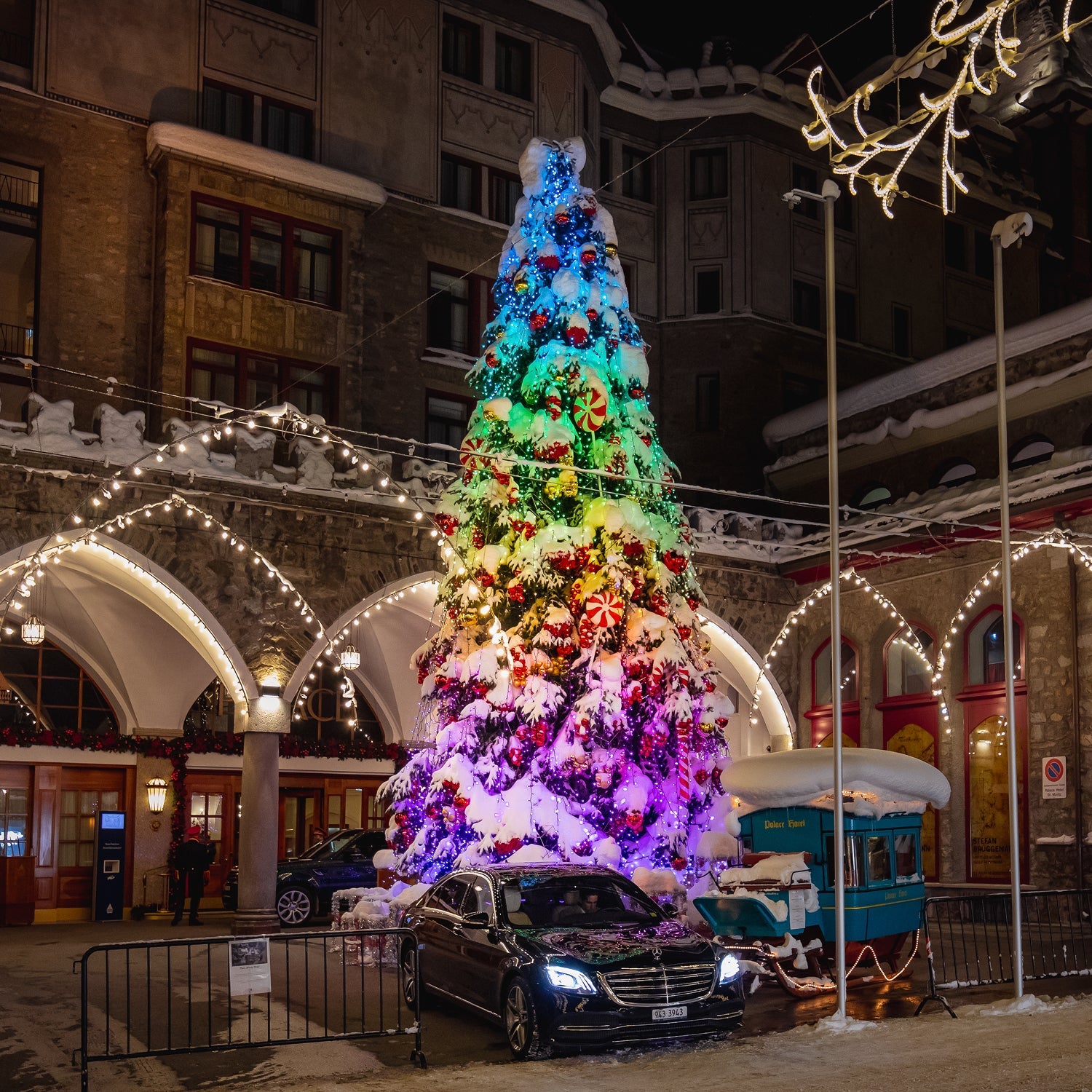 Christmas Trees