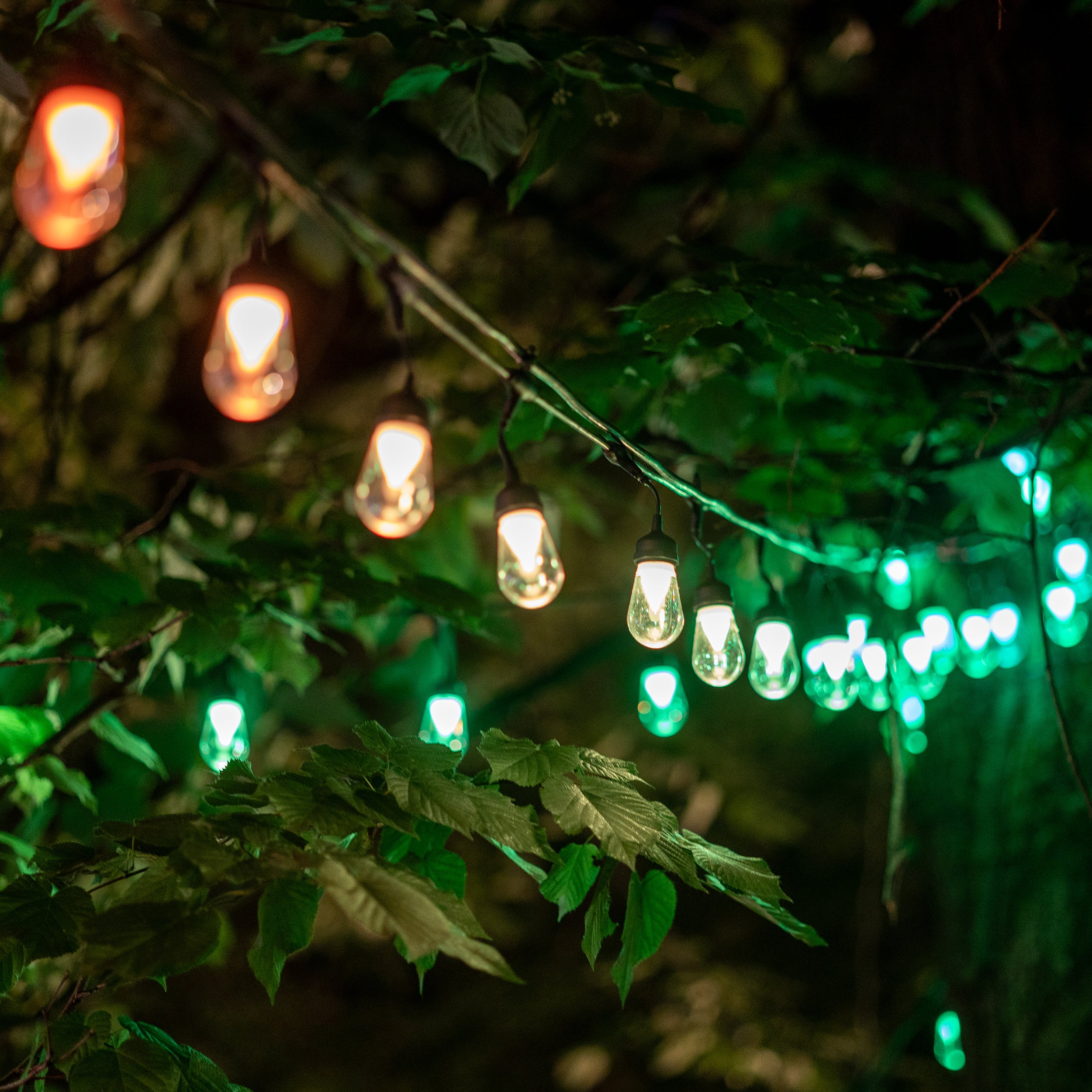 Festoon S14 PLUS